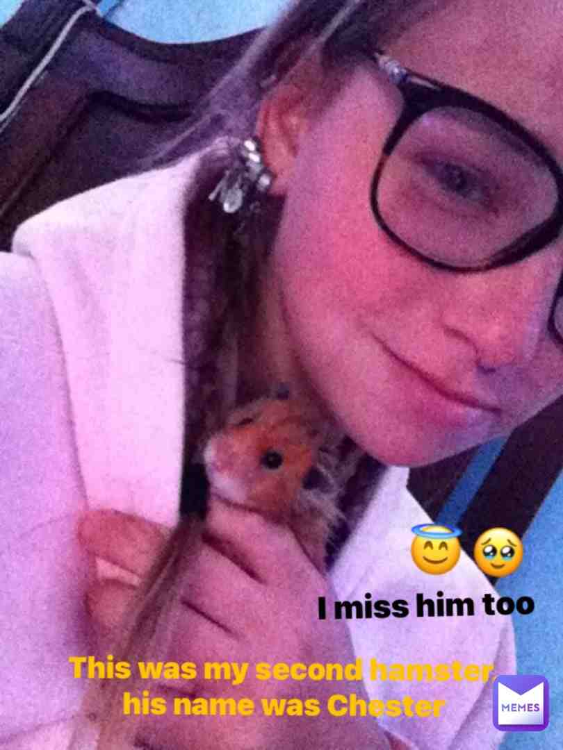 #hamster #like #subscribe #adorable #animal #love #cute #cool #funny #viral #youtube #hamster