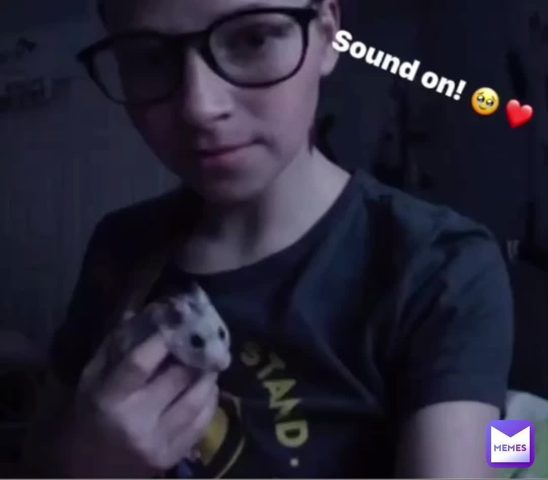 #hamster #like #subscribe #adorable #animal #love #cute #cool #funny #viral #youtube #hamster #memes #memesdaily