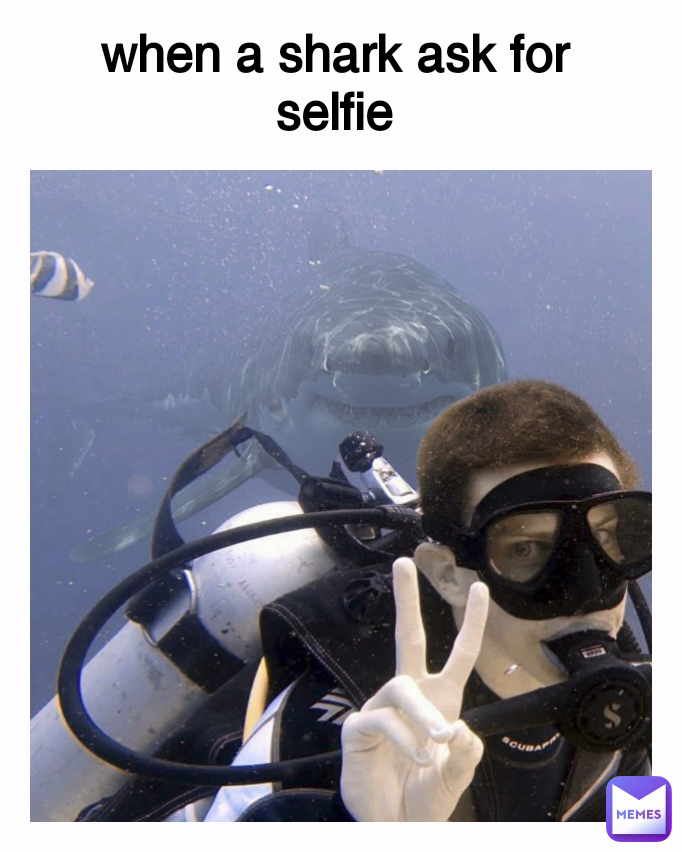 when a shark ask for 
selfie 