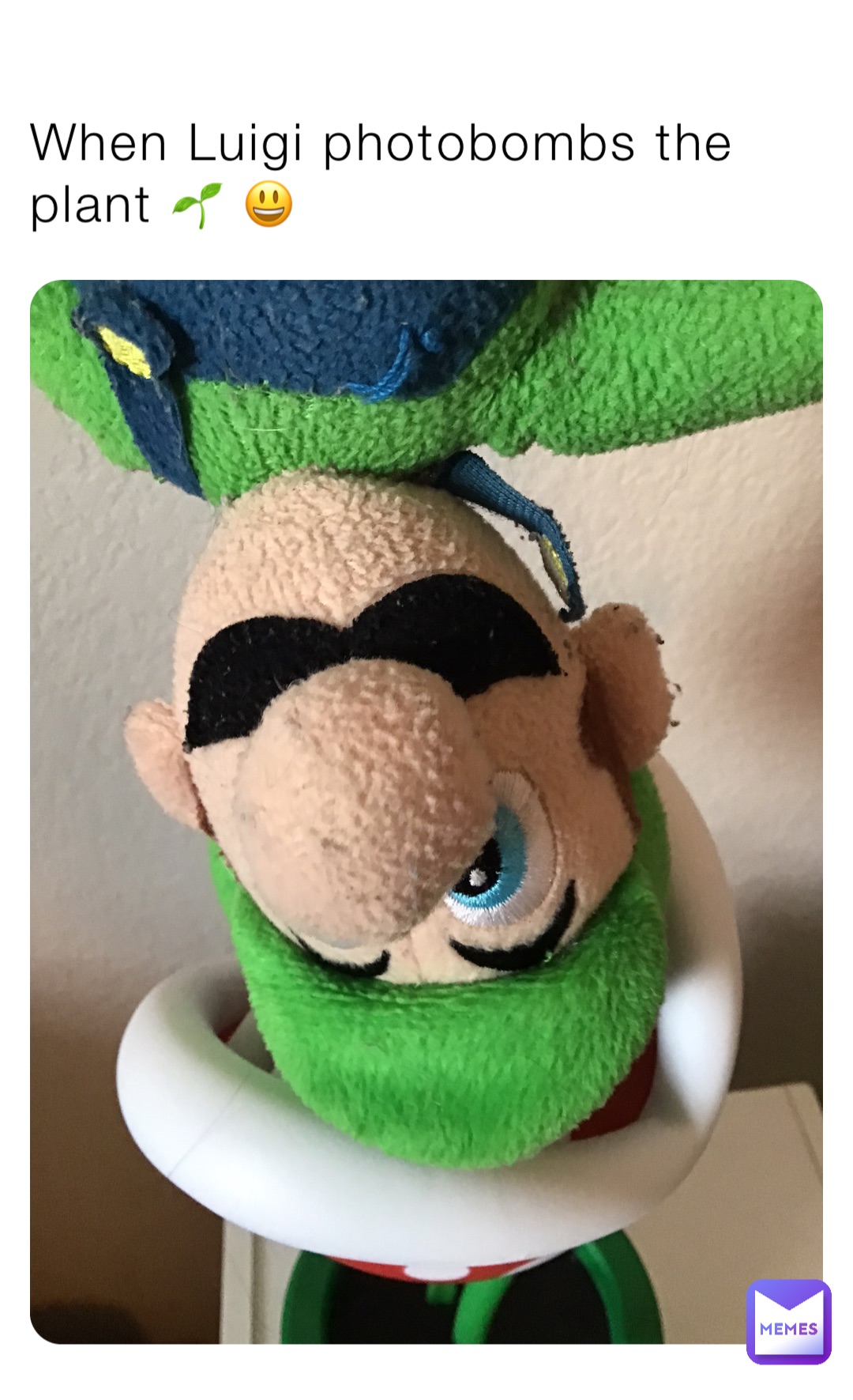 When Luigi photobombs the plant 🌱 😃