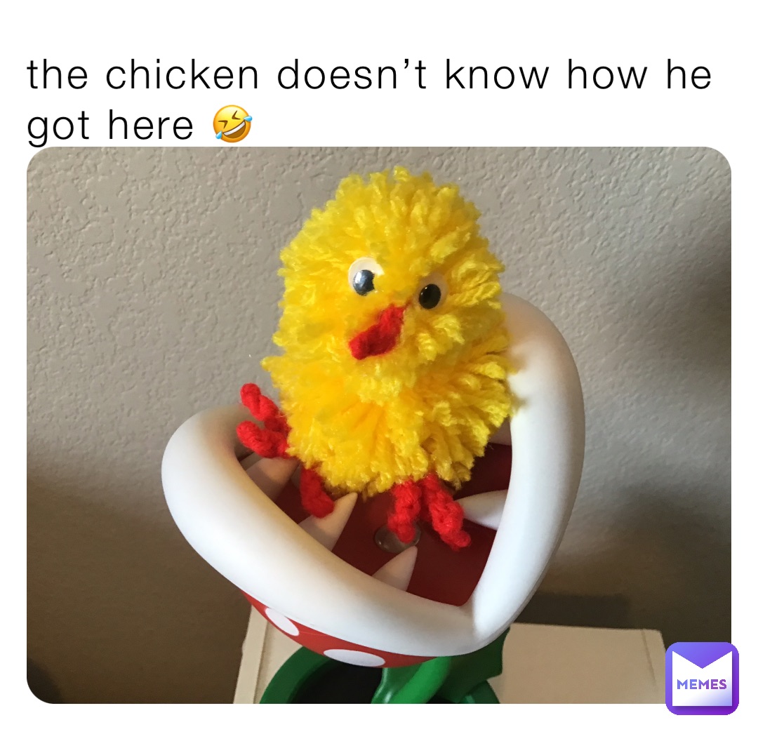 the chicken doesn’t know how he got here 🤣