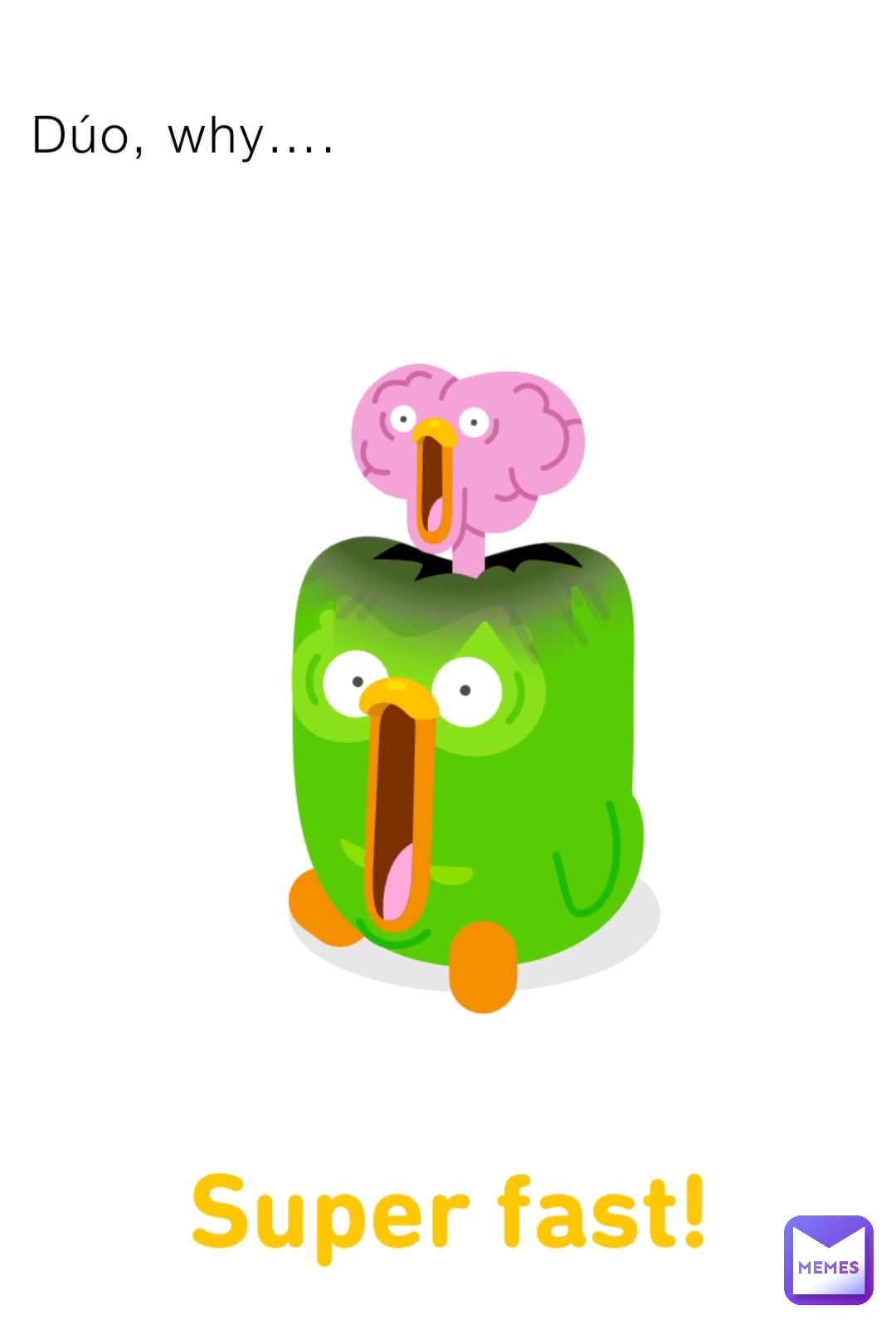 Dúo, why….