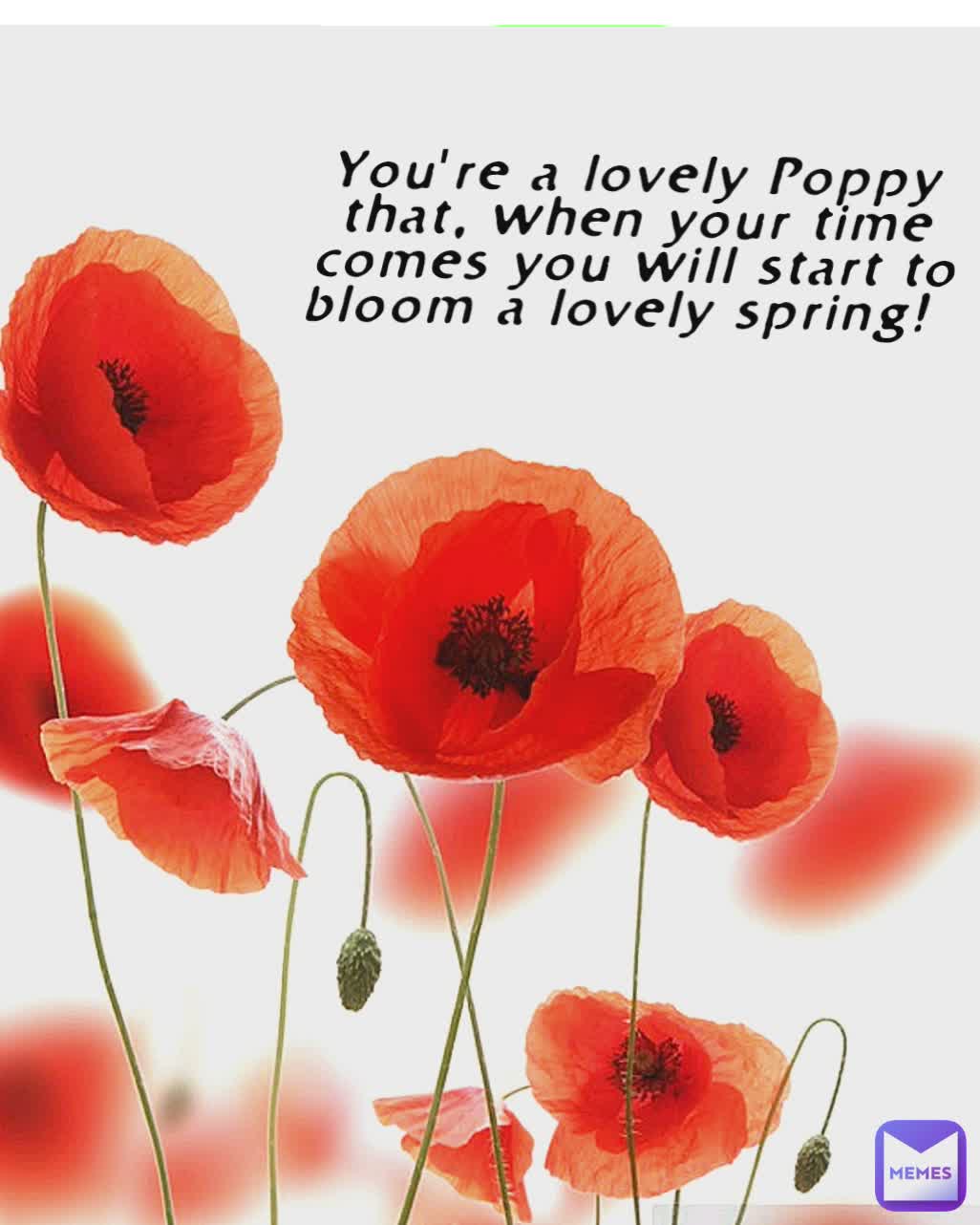 You're a lovely Poppy that, when your time comes you will start to bloom a lovely spring! You're a lovely Poppy that, when your time comes you will start to bloom a lovely spring!