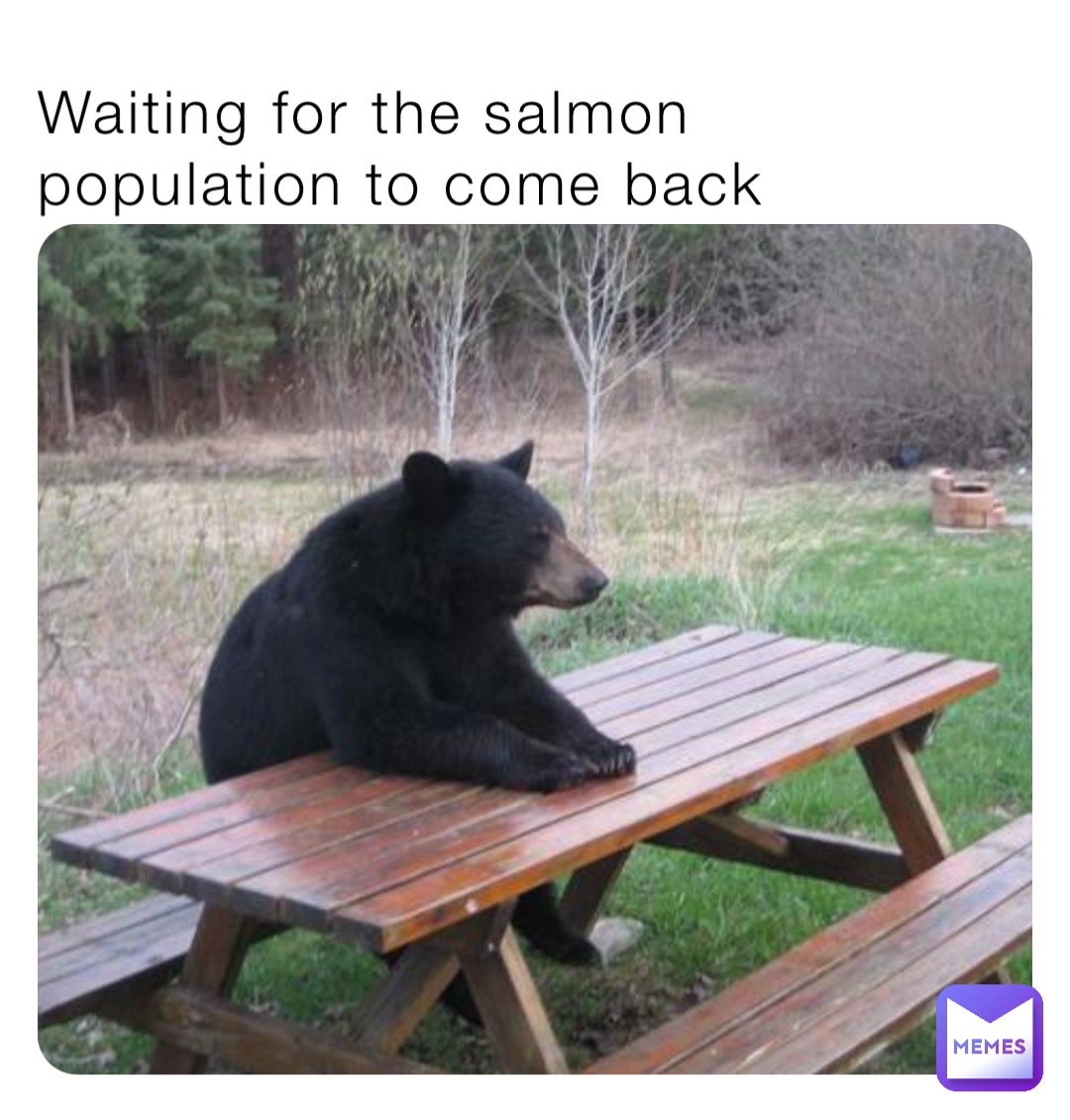 Waiting for the salmon population to come back