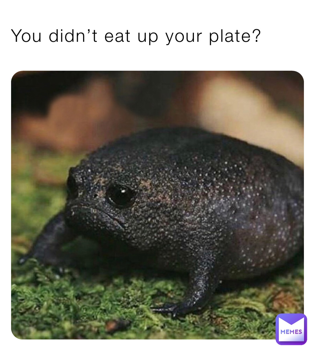 You didn’t eat up your plate?