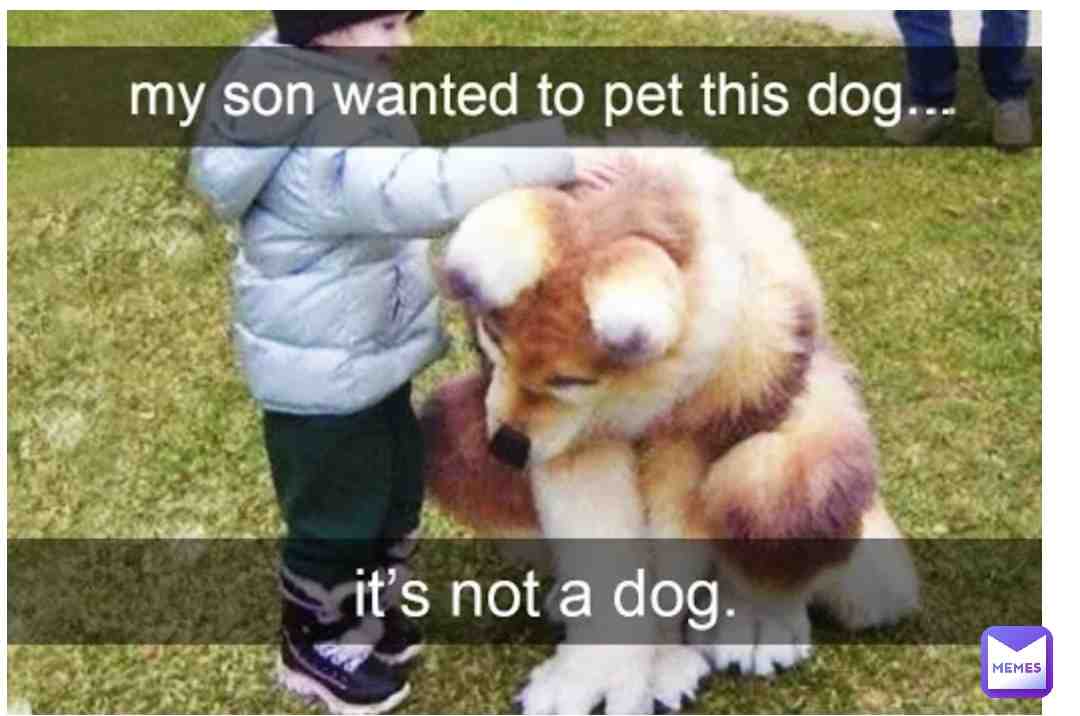 Meme shared by @MasteroftheMeme