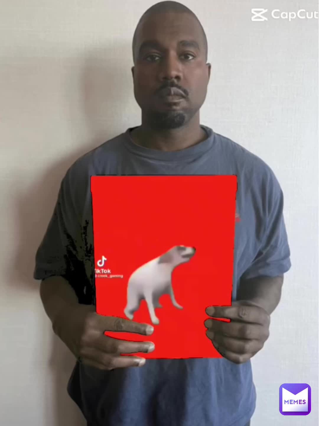 Meme shared by @MasteroftheMeme