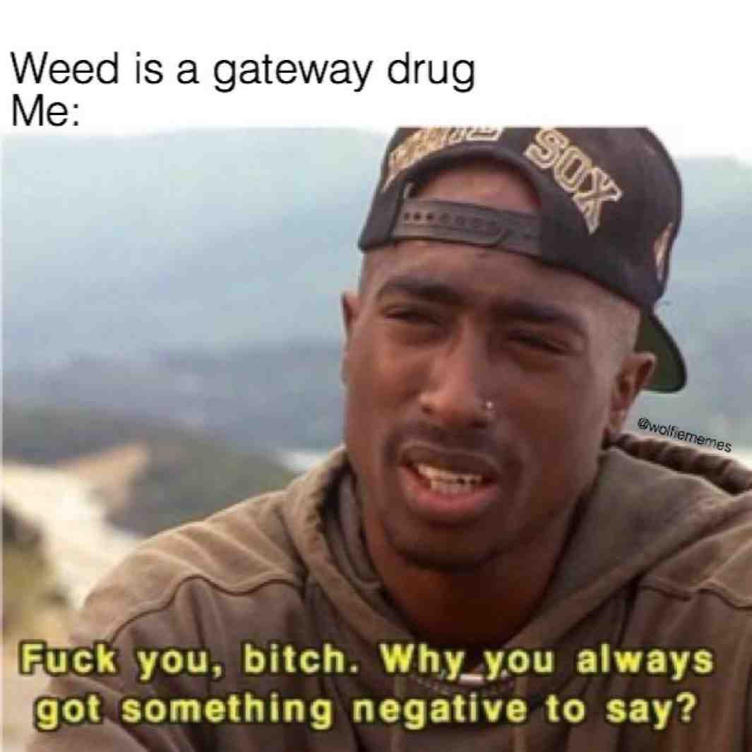 when people say weed is bad (@wolfiecomedy)