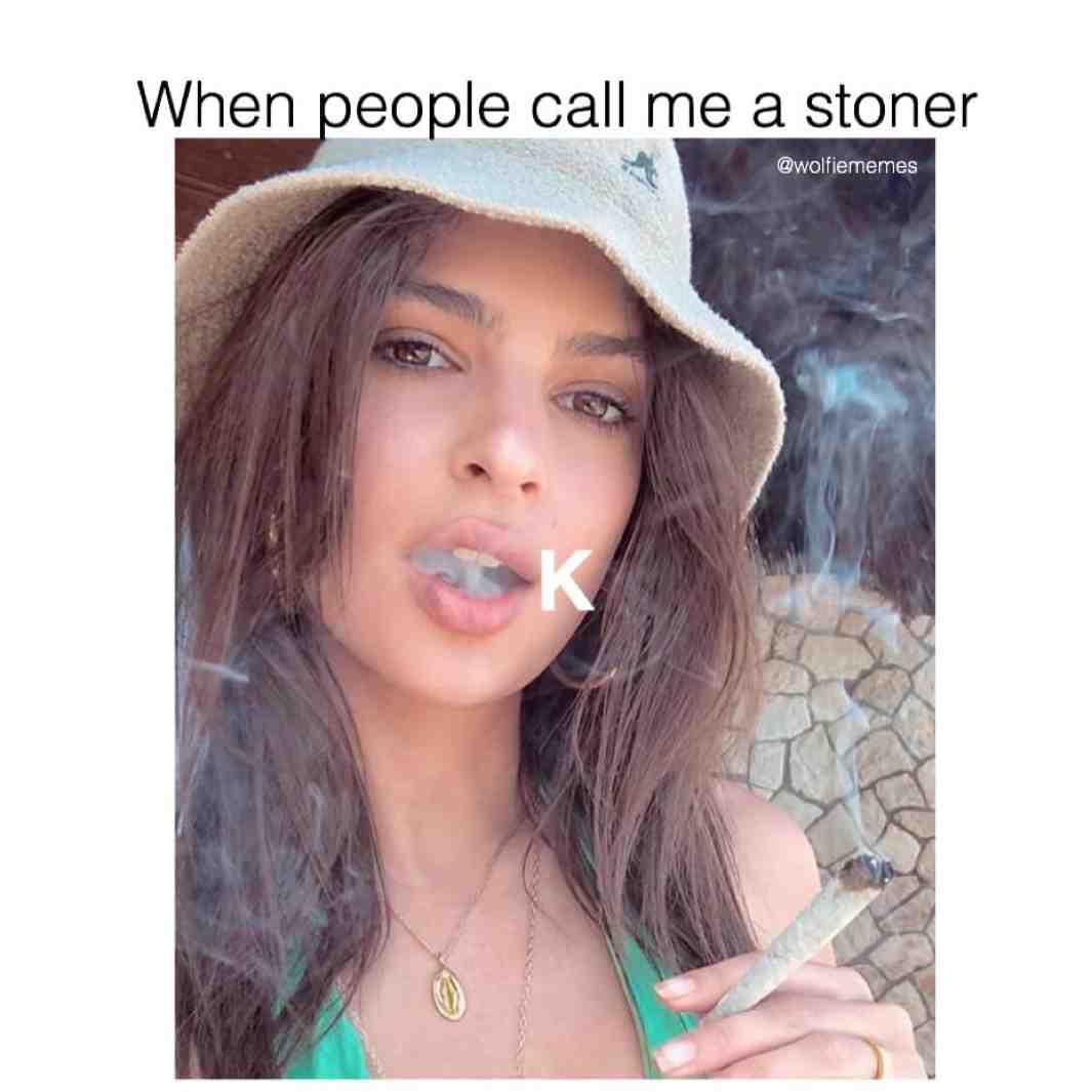 💯 (@wolfiememes)