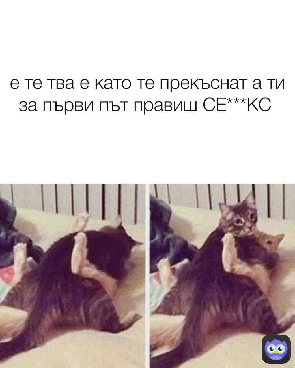 Meme shared by @meme_pras4o