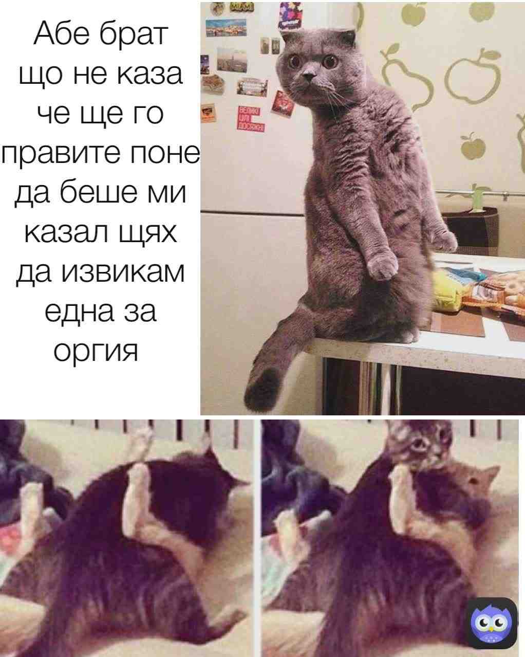 Meme shared by @meme_pras4o