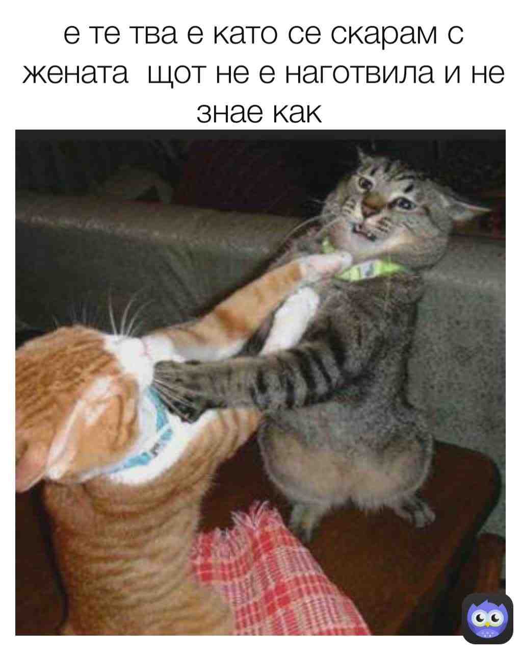 Meme shared by @meme_pras4o