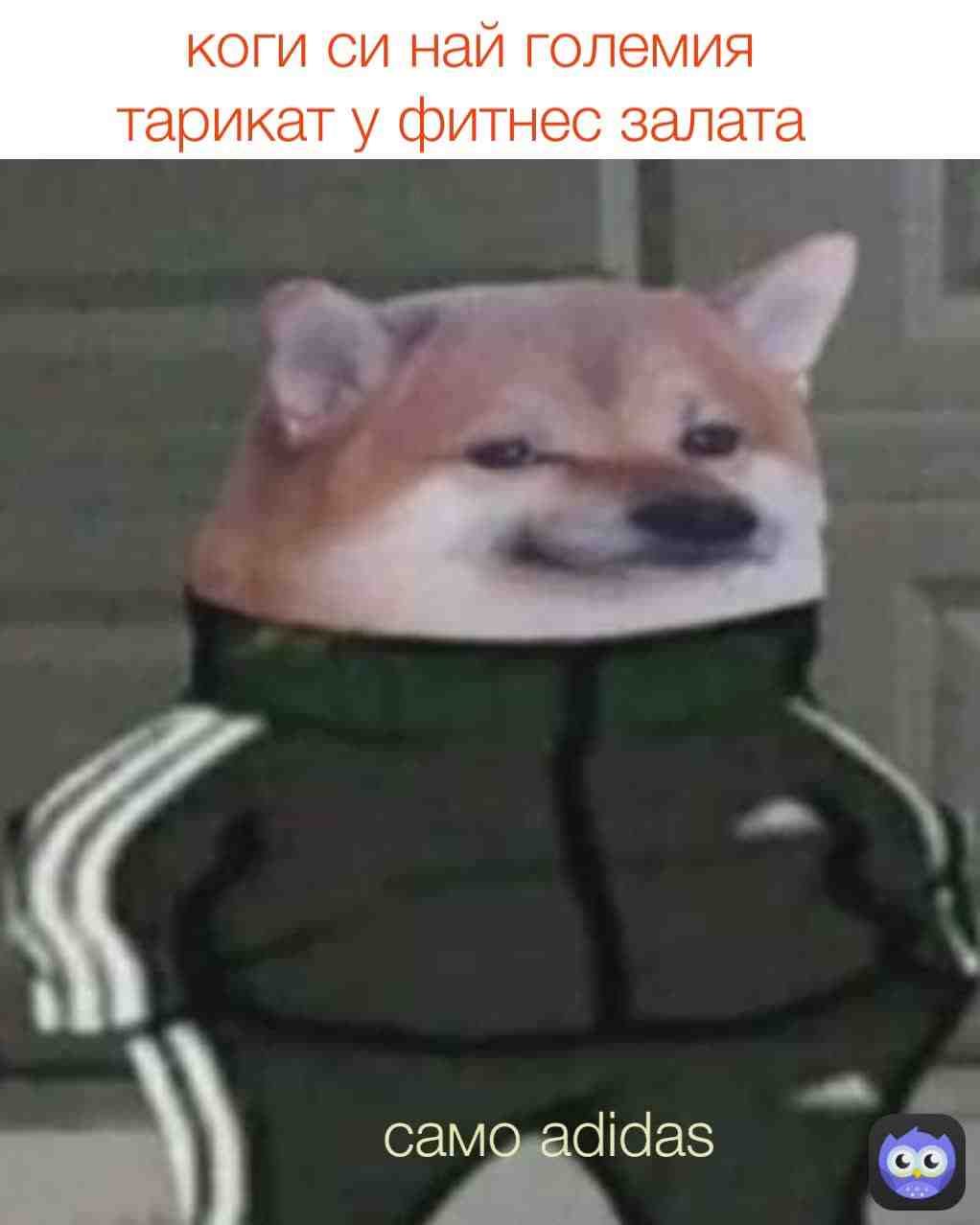 Meme shared by @meme_pras4o