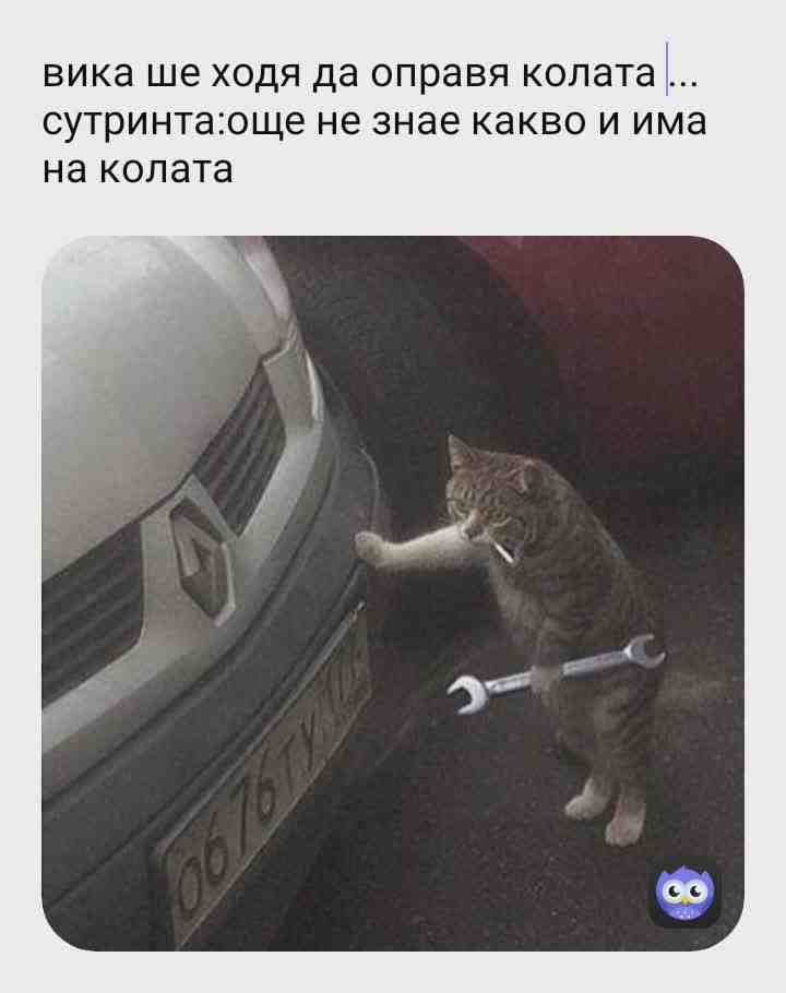 Meme shared by @meme_pras4o