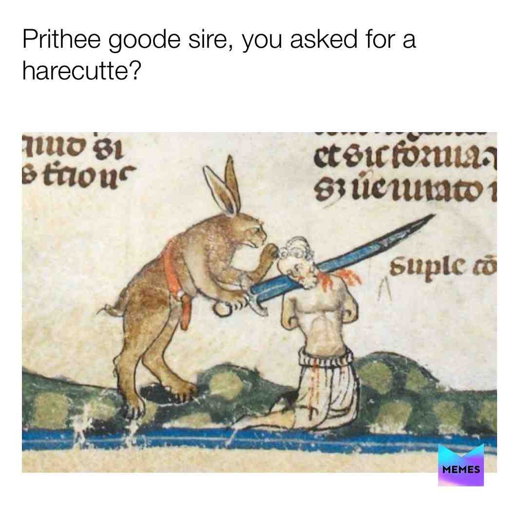 At least it’s not a bowl cut  #haircut  #badhair  #medieval