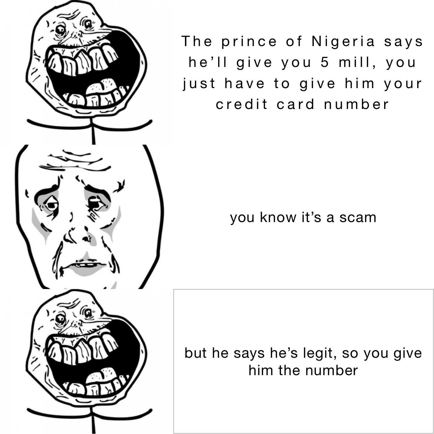 The prince of Nigeria says he’ll give you 5 mill, you just have to give him your credit card number you know it’s a scam but he says he’s legit, so you give him the number