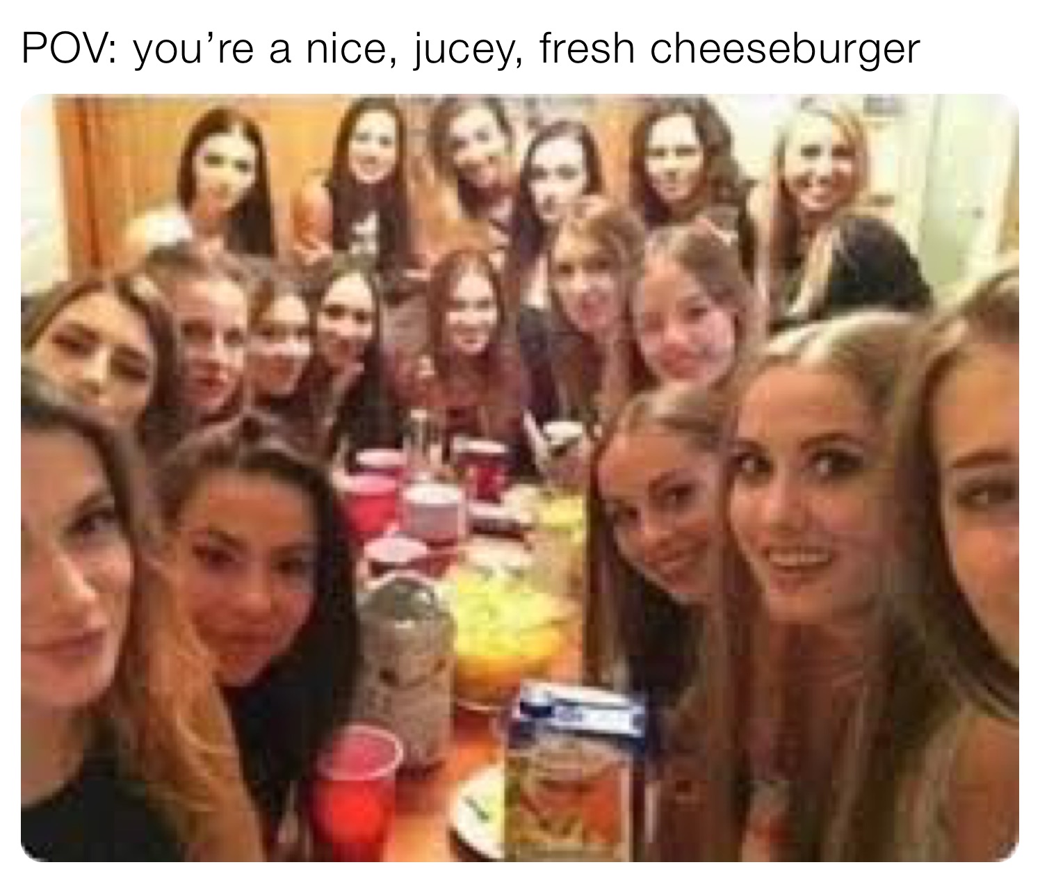 POV: you’re a nice, jucey, fresh cheeseburger