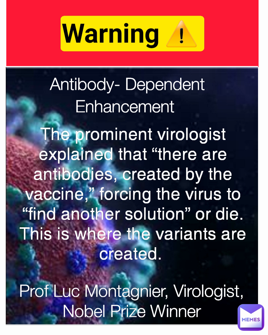 Prof Luc Montagnier, Virologist, Nobel Prize Winner The prominent virologist explained that “there are antibodies, created by the vaccine,” forcing the virus to “find another solution” or die. This is where the variants are created.  Warning ⚠️  Antibody- Dependent Enhancement 