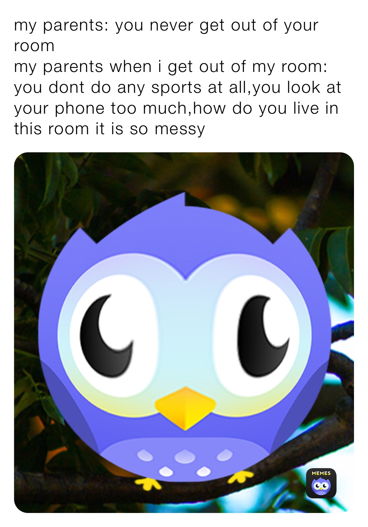 my parents you never get out of your room my parents when i get out of