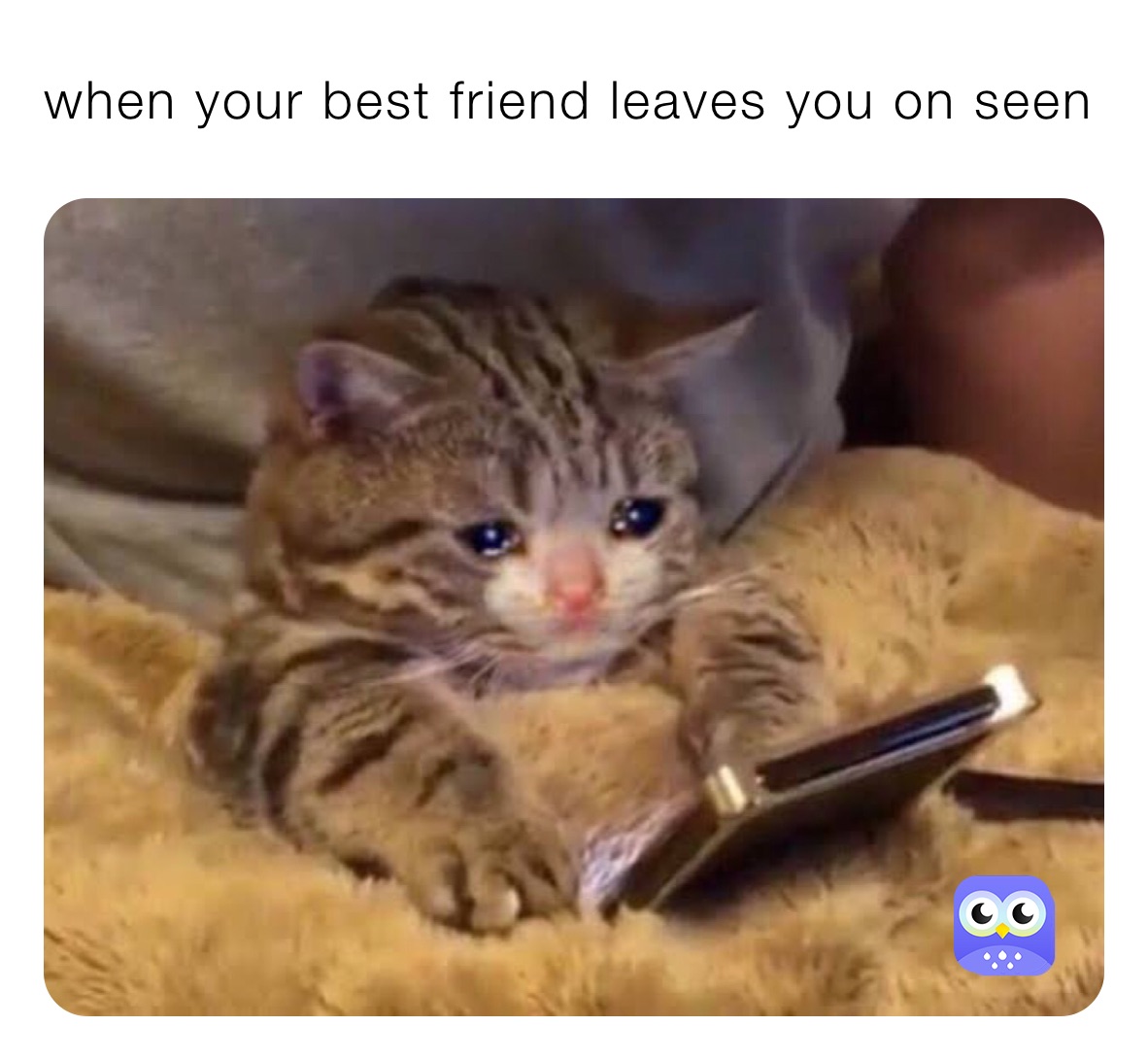 When Your Best Friend Leaves You On Seen Luffykat Memes 2144