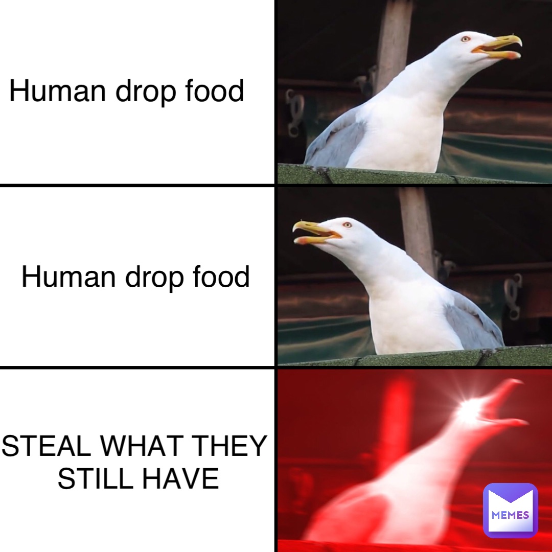 Human drop food Human drop food STEAL WHAT THEY
 STILL HAVE