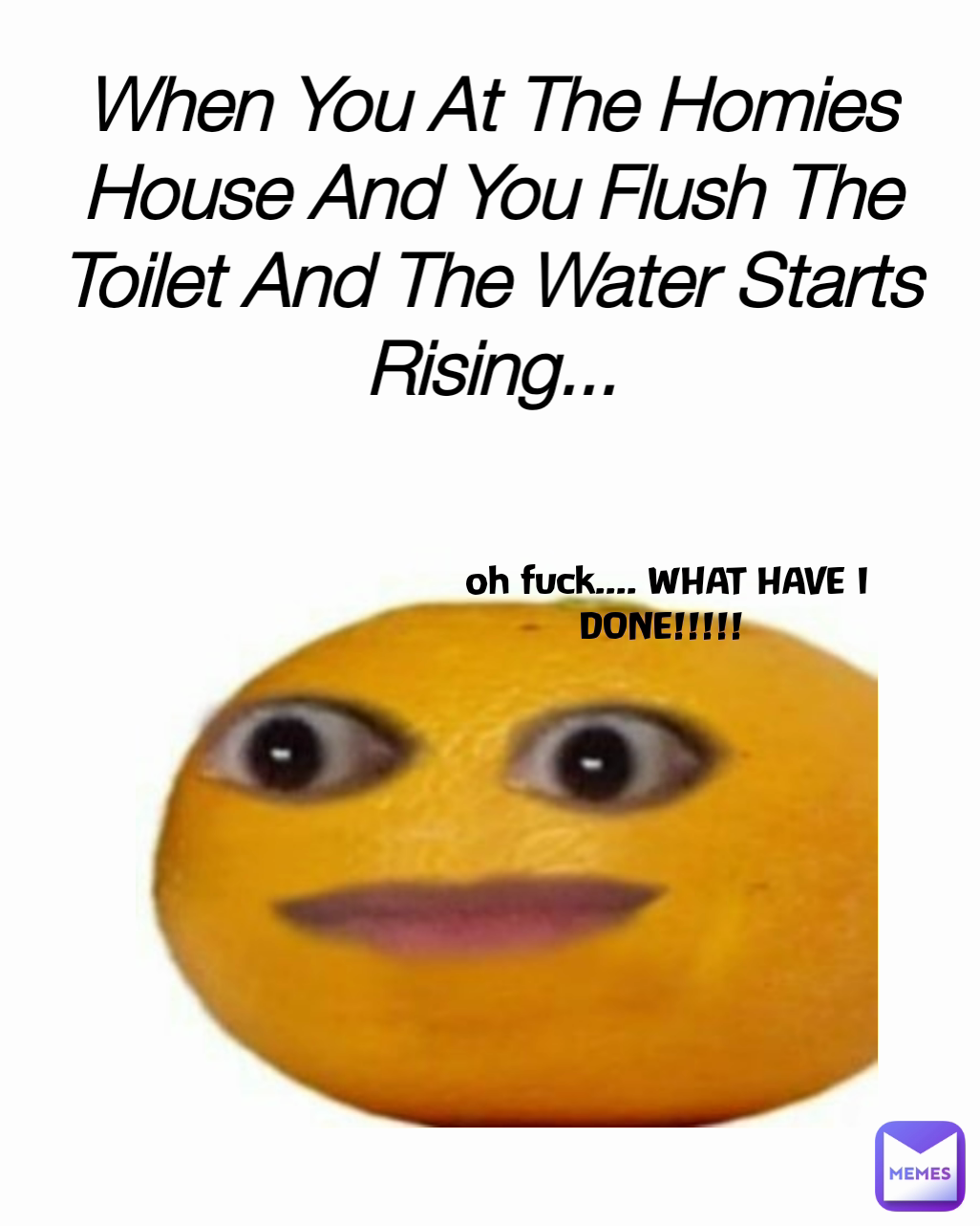 When You At The Homies House And You Flush The Toilet And The Water Starts Rising... oh fuck.... WHAT HAVE I DONE!!!!! 