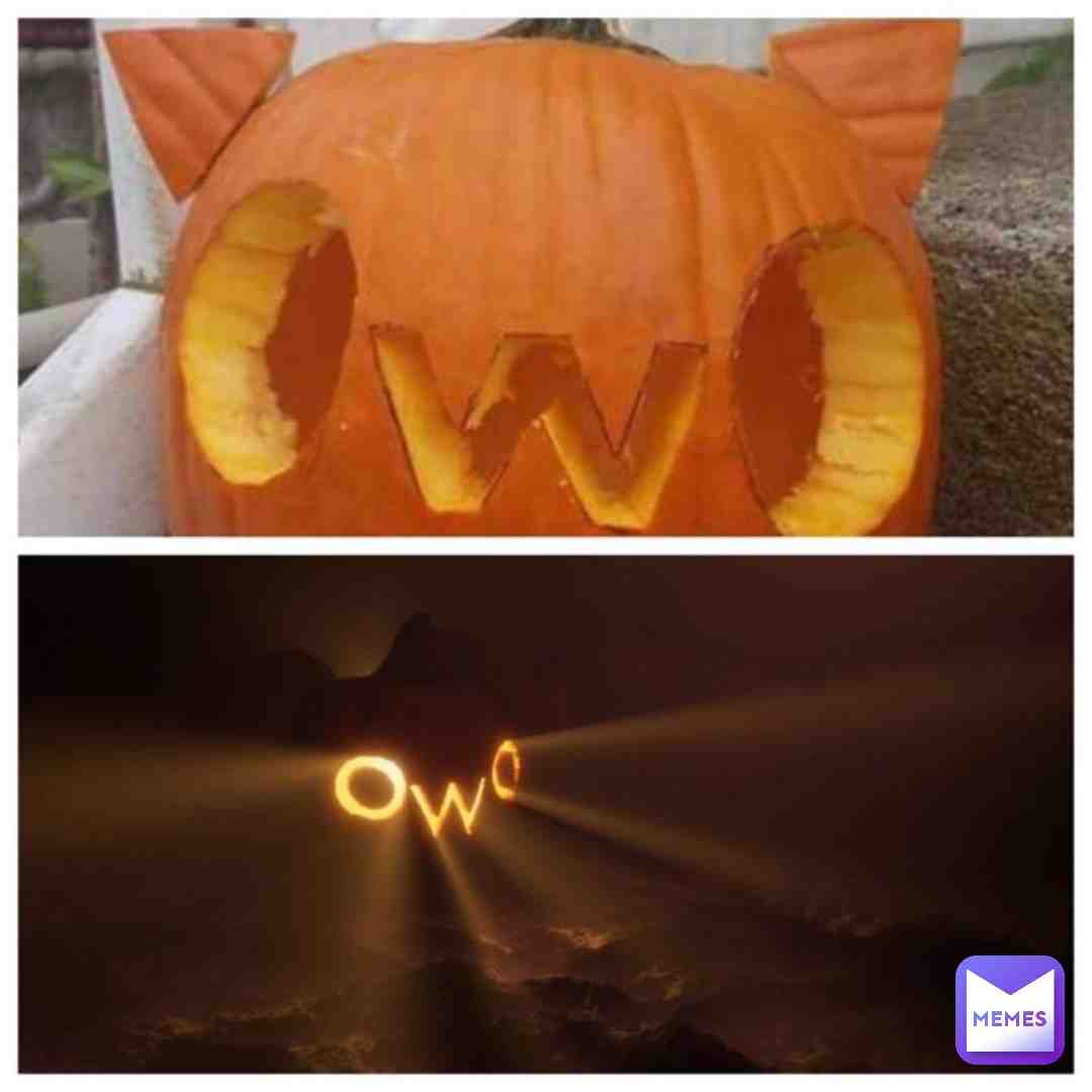 #furrymemes #owo