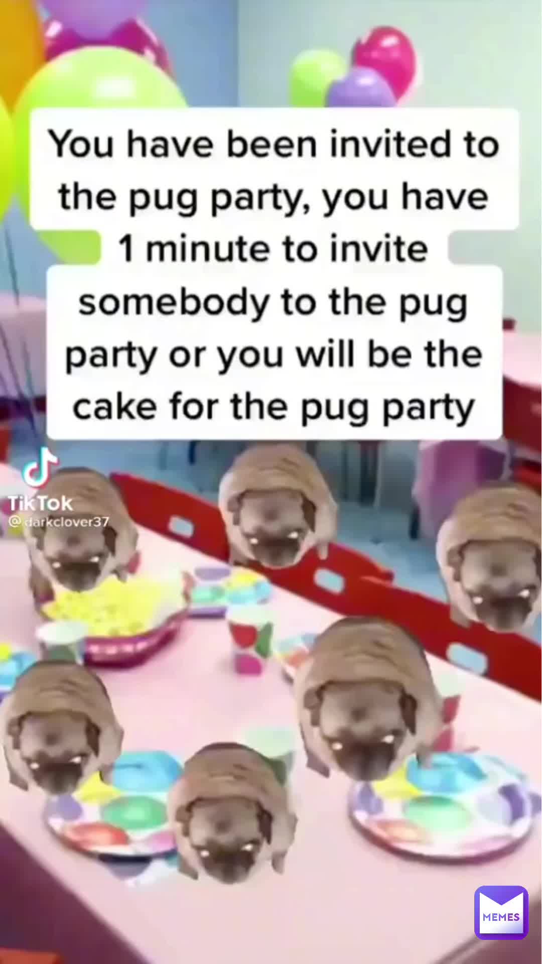 #pug  #memes