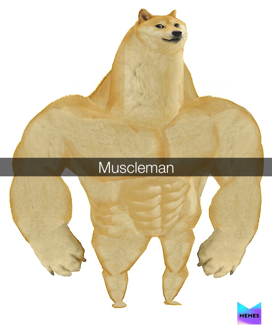 Meme by larry_the_lama69