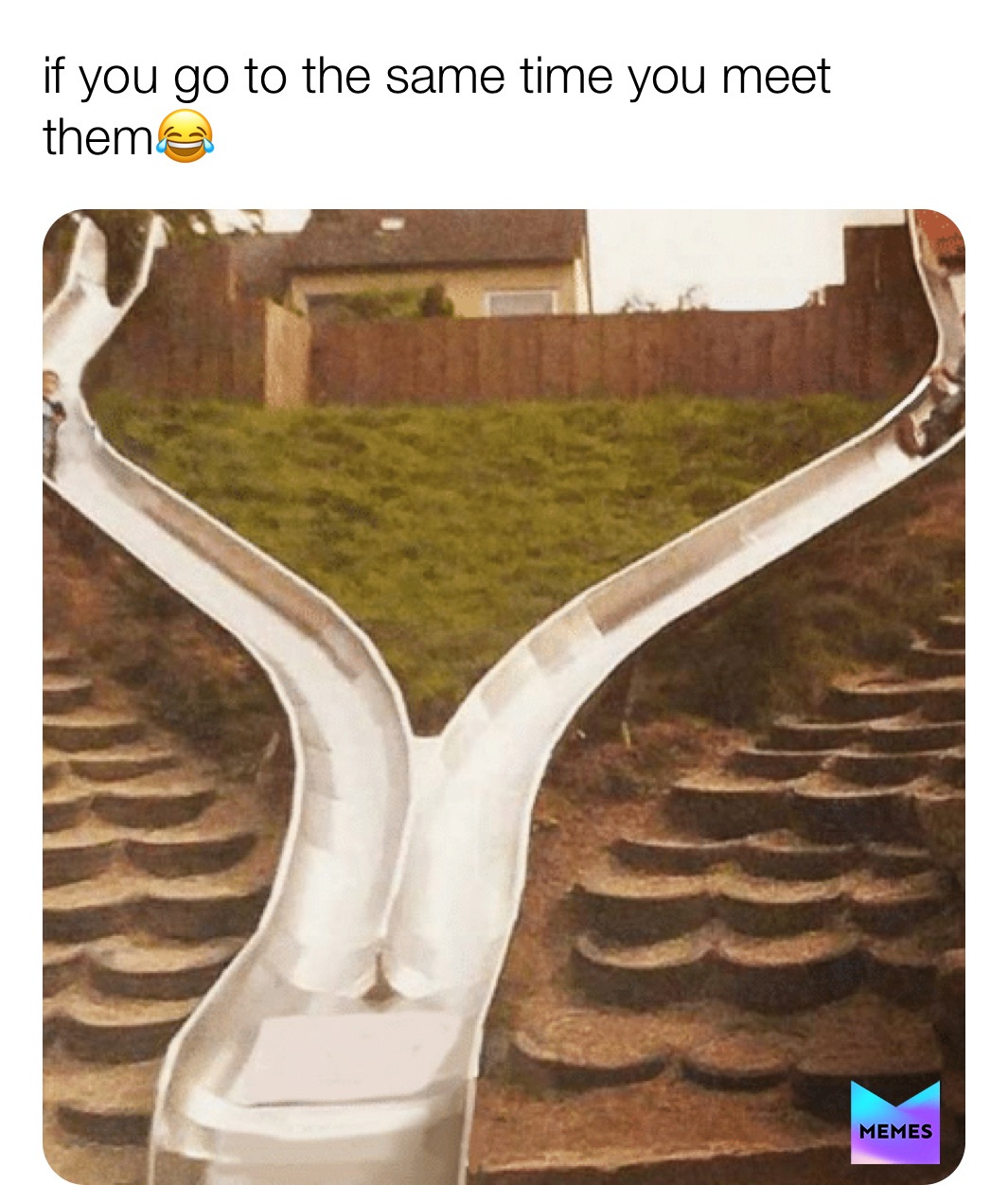 Meme by larry_the_lama69