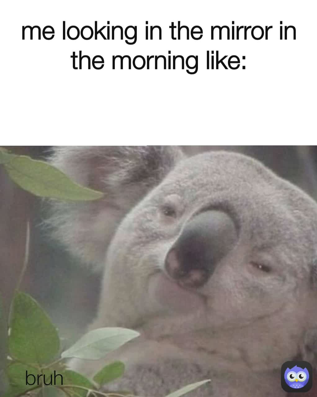 bruh me looking in the mirror in the morning like: