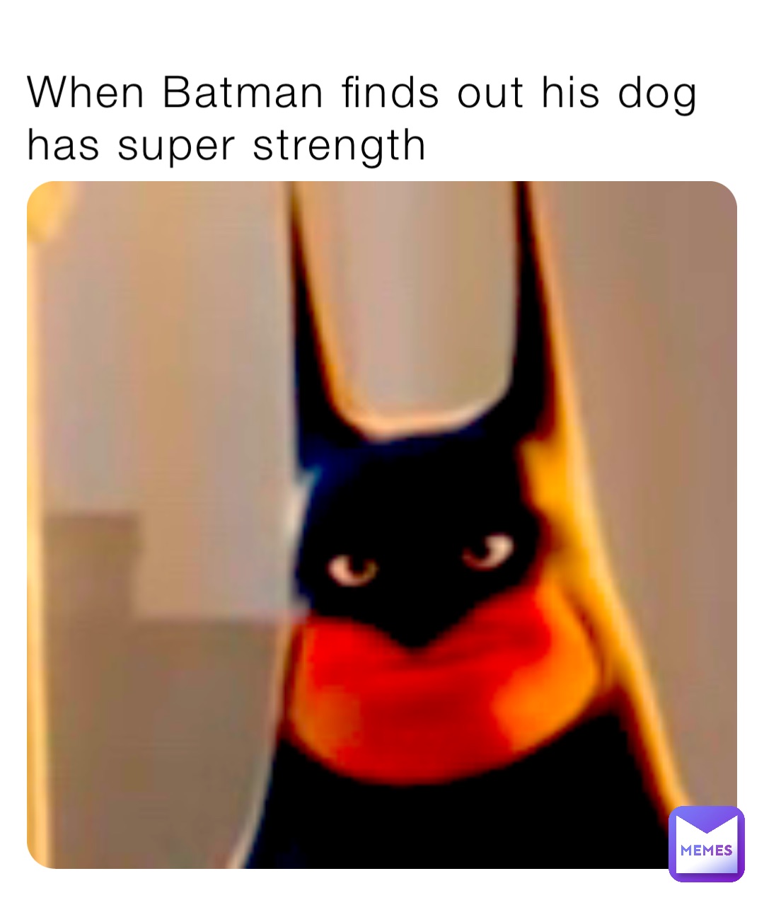 When Batman finds out his dog has super strength