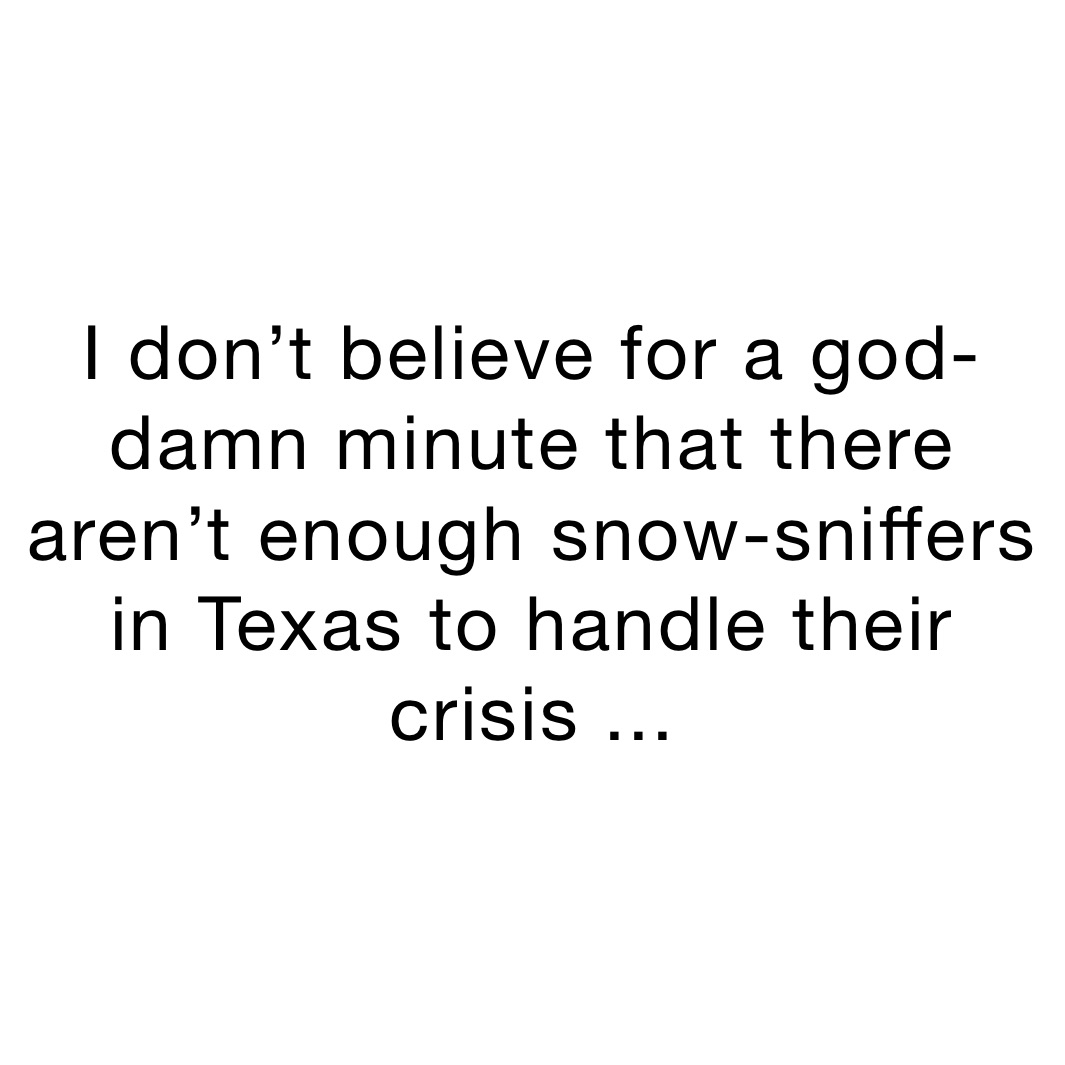 I don’t believe for a god-damn minute that there aren’t enough snow-sniffers in Texas to handle their crisis ...