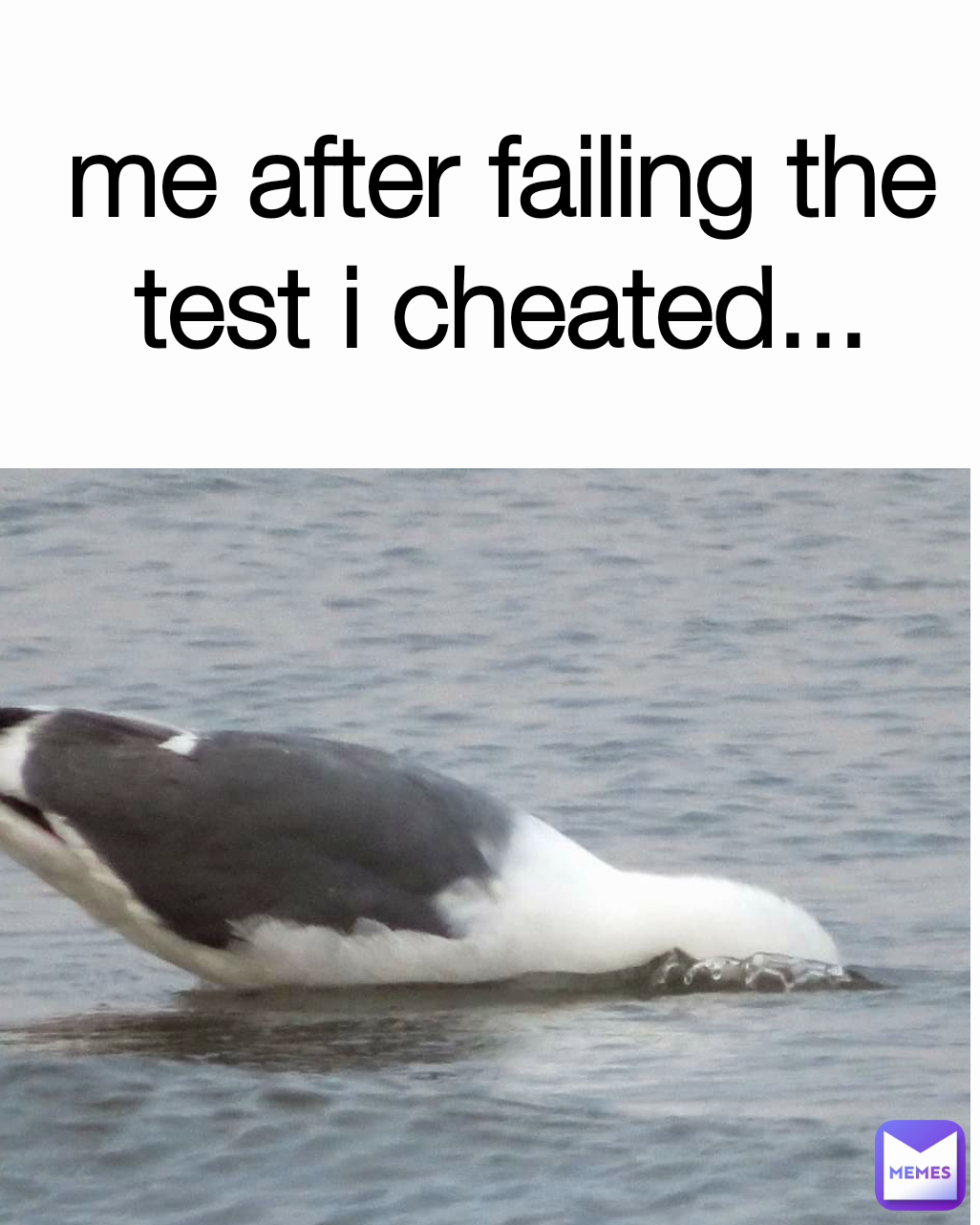 Meme by scared_hamster_