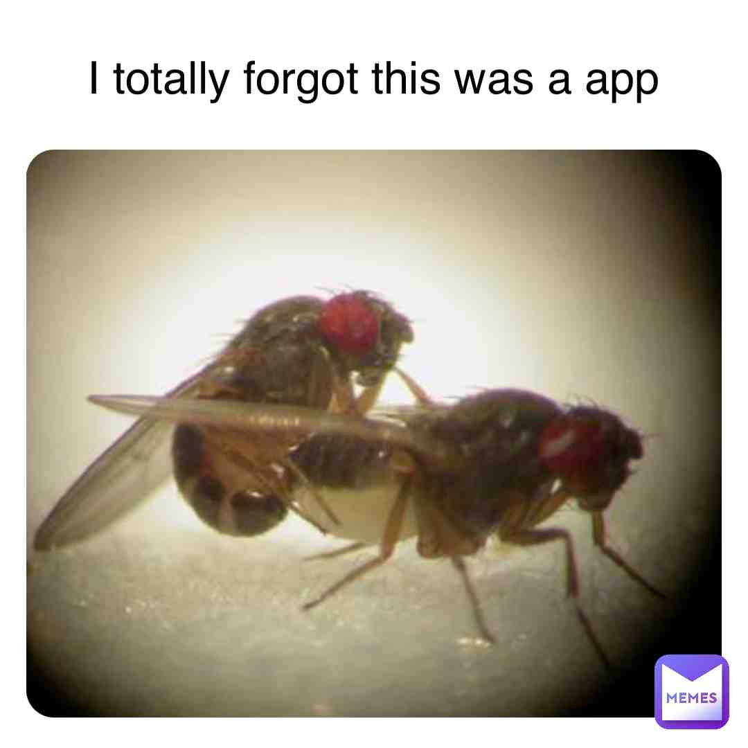 I forgot #ww3 #wow
