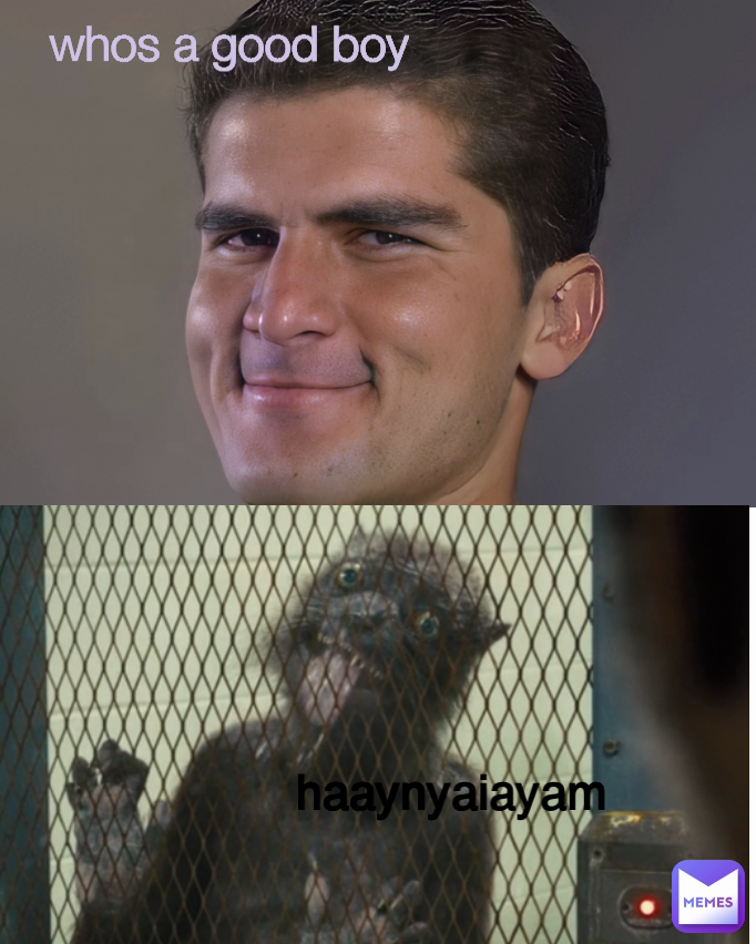 haaynyaiayam whos a good boy