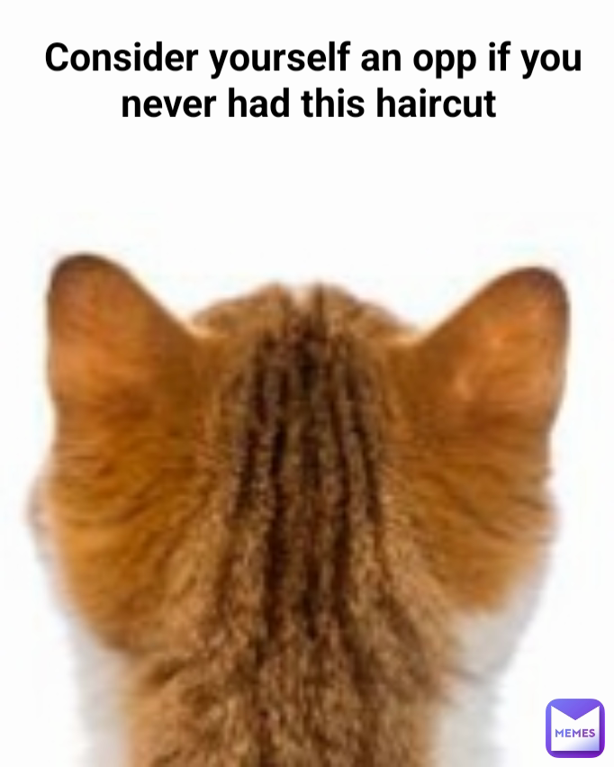 Consider yourself an opp if you never had this haircut 