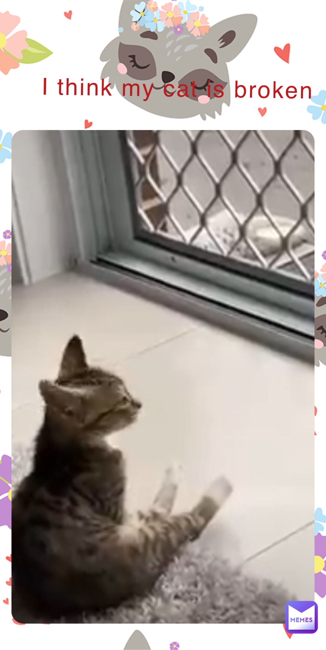 I think my cat is broken