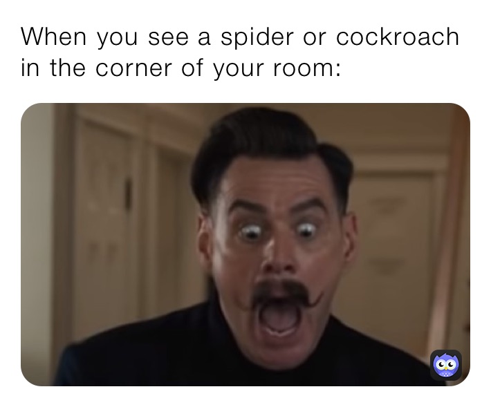 When you see a spider or cockroach in the corner of your room: