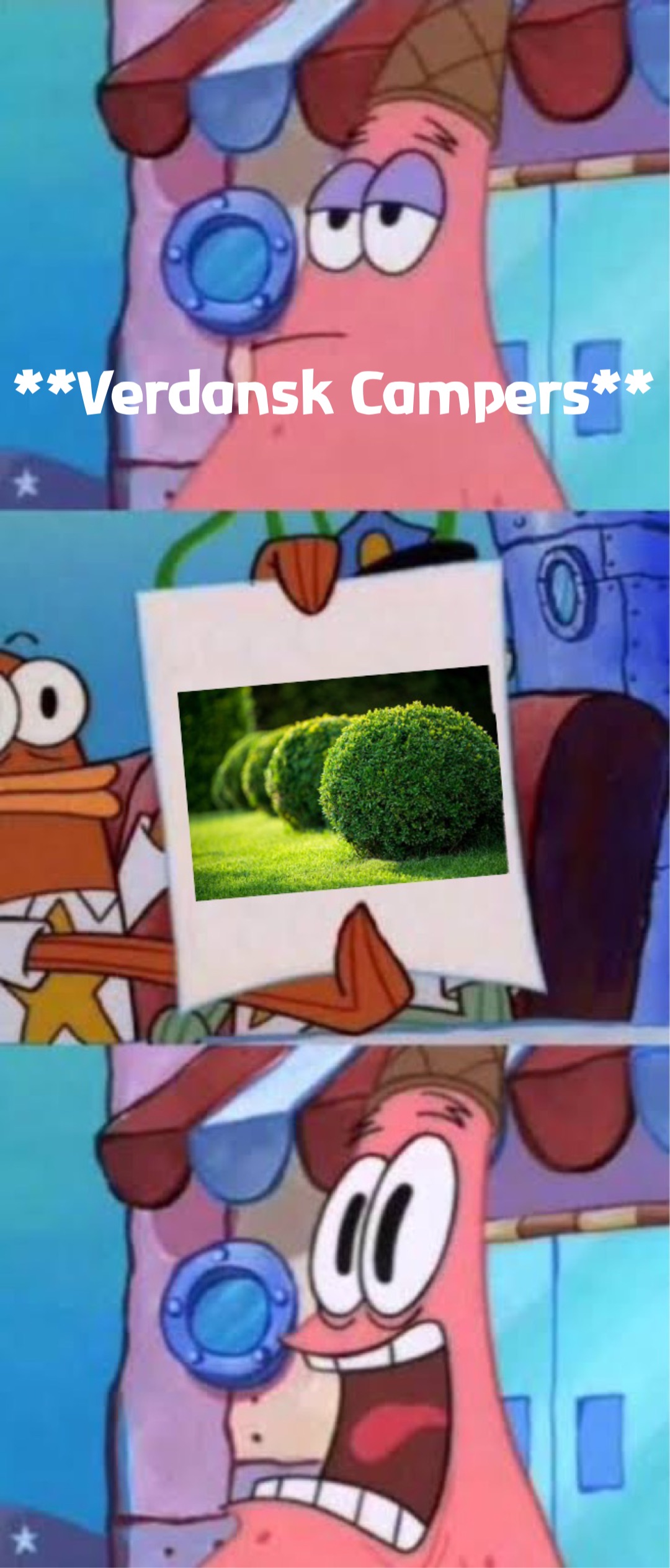 **Verdansk Campers**