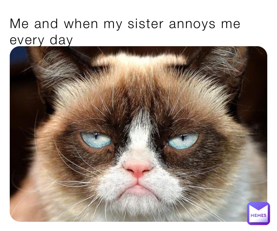 grumpy cat sister meme