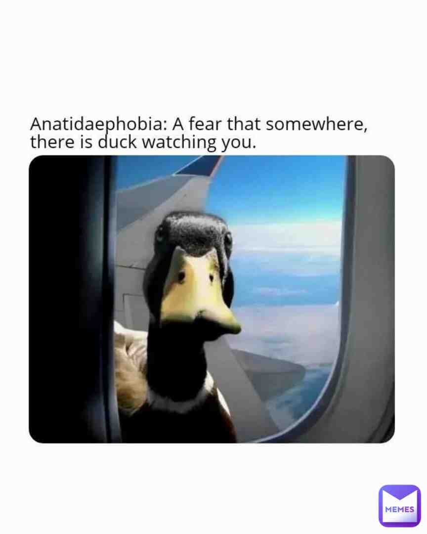 Meme shared by @beluga9