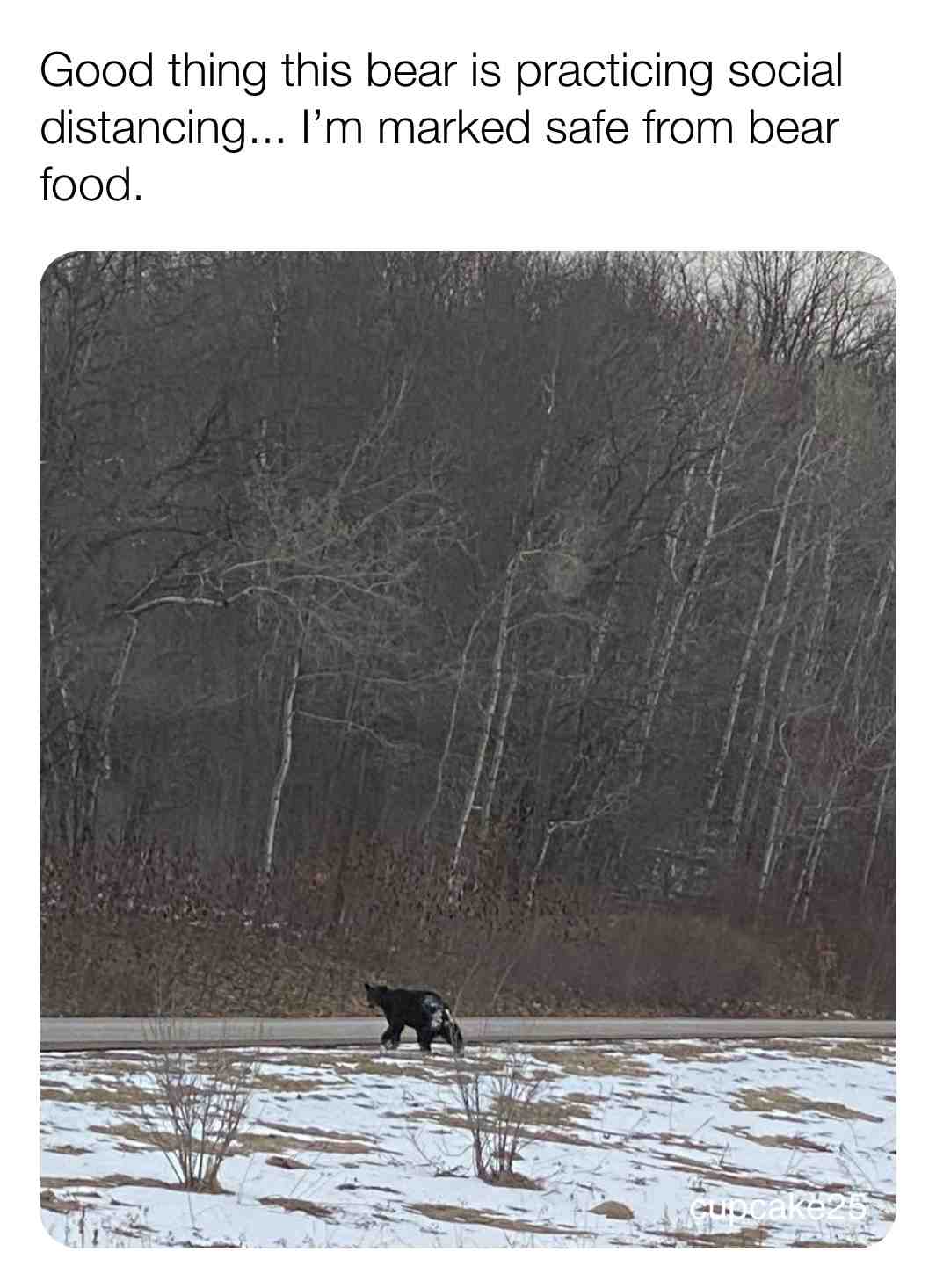 Meme preview
