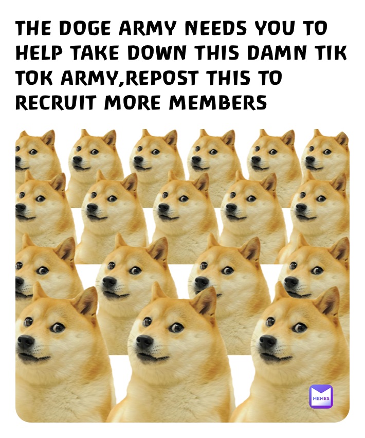 THE DOGE ARMY NEEDS YOU TO HELP TAKE DOWN THIS DAMN TIK TOK ARMY,REPOST THIS TO RECRUIT MORE MEMBERS 