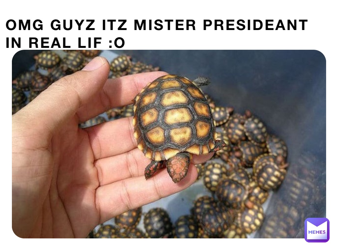 OMG GUYZ ITZ MISTER PRESIDEANT IN REAL LIF :O