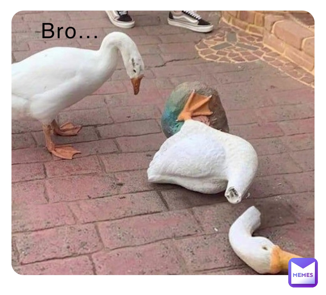 Bro...