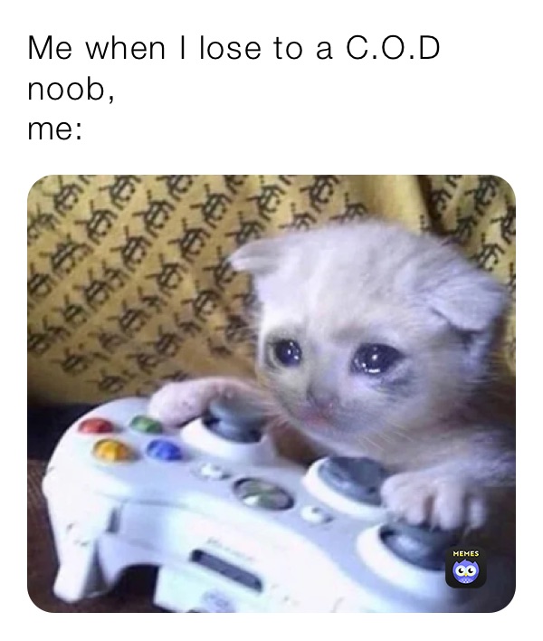 Meme by Bigmacattack