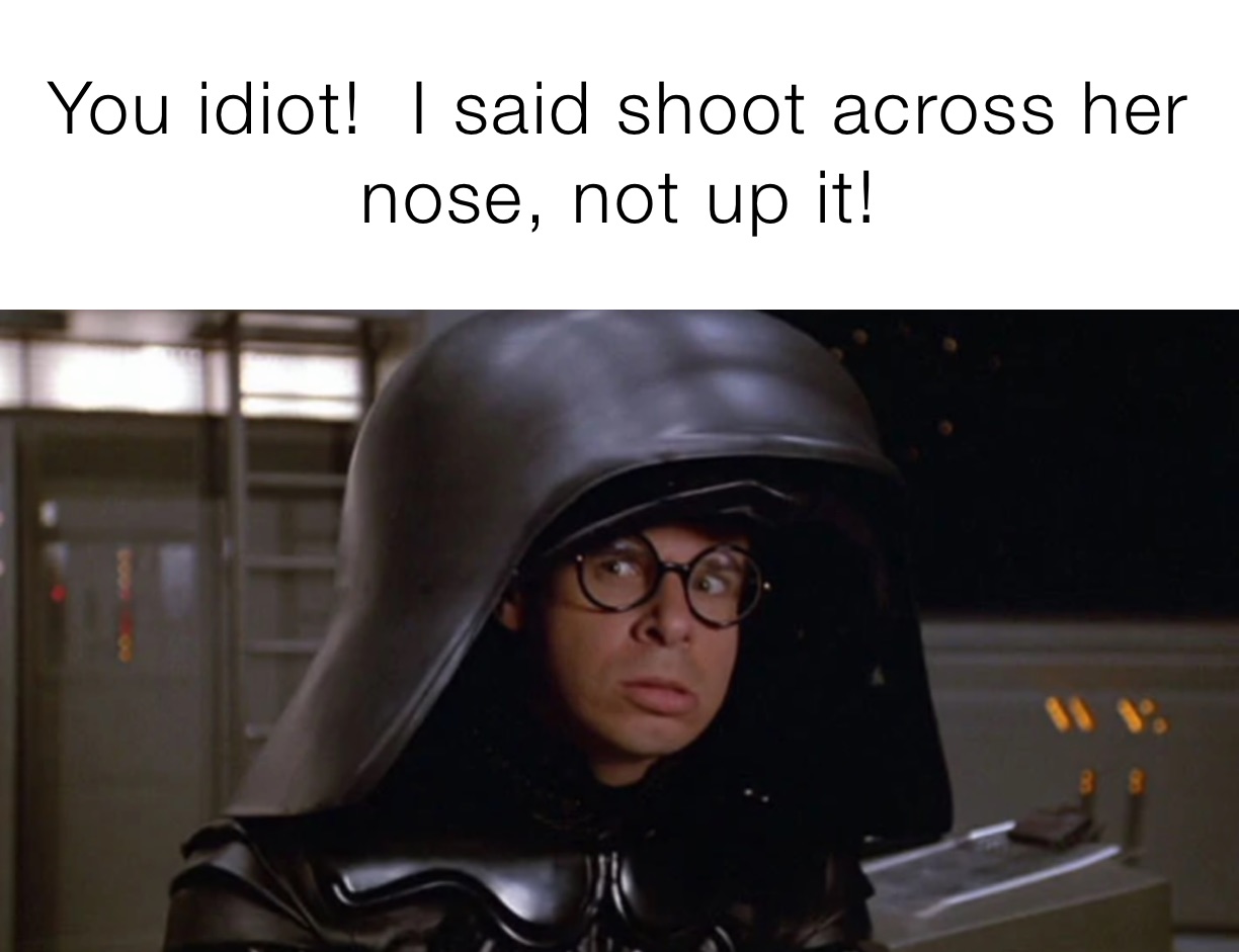 You idiot!  I said shoot across her nose, not up it!