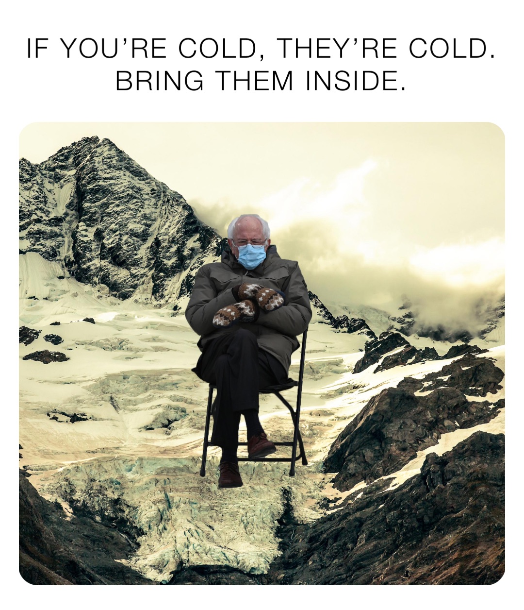 If you’re cold, they’re cold. 
Bring them inside.