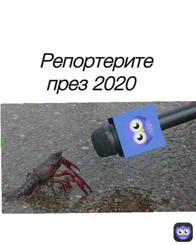 Meme shared by @ceco2020